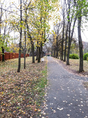 Fototapeta premium Тропа в парке