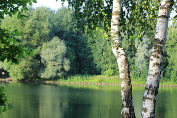 Fototapeta premium in the Park by the pond