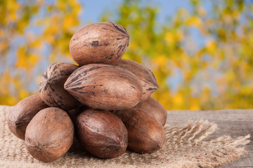 a bunch of pecan nuts on a wooden background with burlap and blurred garden background