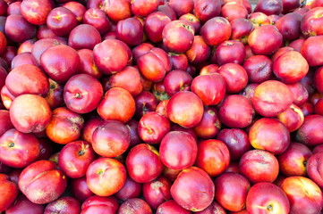 Bunch of fresh peaches on a pile