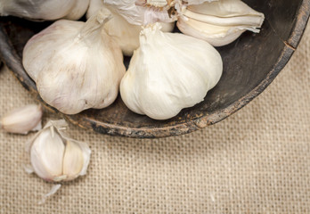 Garlic tubers in rustic wooden bowl on burlap