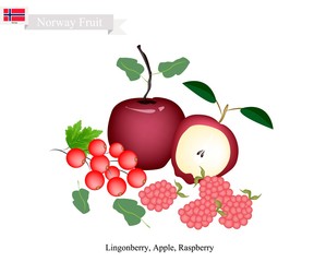 Lingonberry, Apple and Raspberry, The Popular Fruits of Norway