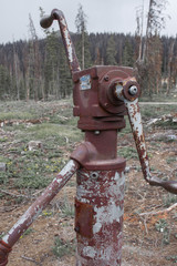 red pump robot arms