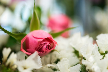 Rose is placed on white flowers.