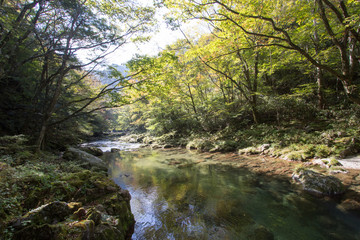 Obraz premium 小田深山渓谷