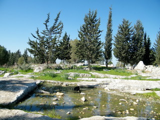 Shoham 2011