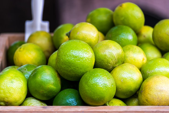 Many Fresh Green Yellow Lime on Wooden Bucket , Lime Harvest,