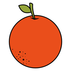 orange citrus fruit icon vector illustration design