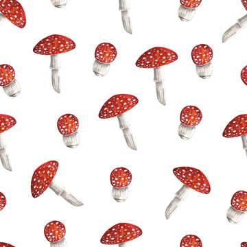 Seamless pattern with mushrooms. Watercolor hand drawn