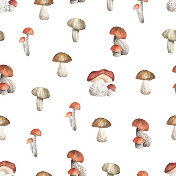 Seamless white pattern with mushrooms. Watercolor hand drawn
