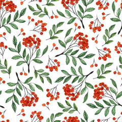 Seamless white pattern with rowan. Watercolor hand drawn