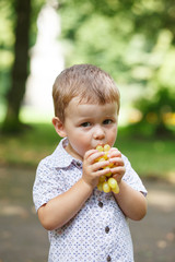 Cute boy eating grapes outdoors.