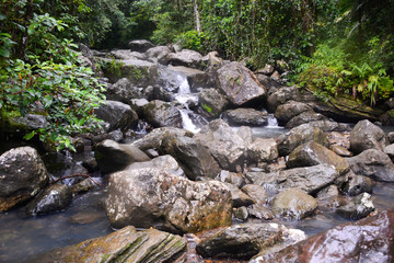 Fototapeta na wymiar Waterfall river in the El Yunque national forest, Puerto Rico