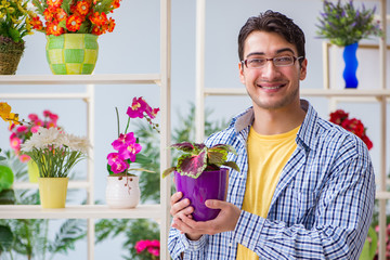 Young man florist working in a flower shop