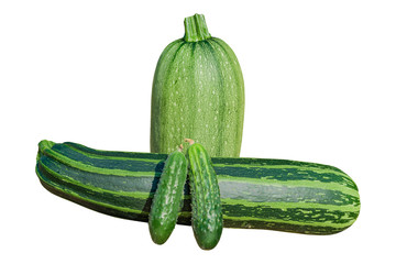 Two fresh green zucchini and cucumbers, isolated on white background