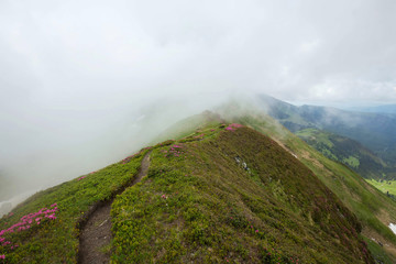 Foggy mountain path landscape
