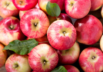 fresh red apples with leaves