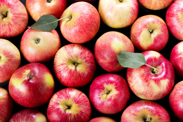 fresh red apples with leaves