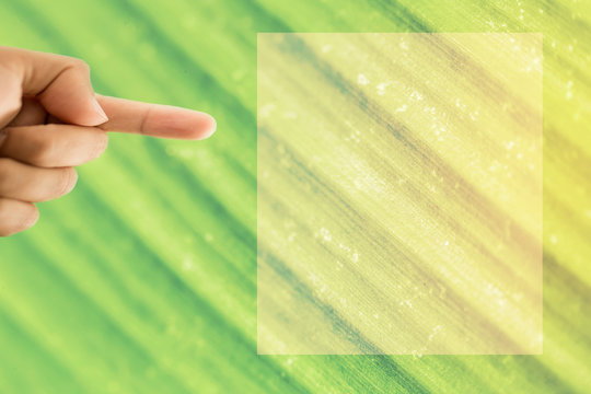 The man's hand on leaf background.