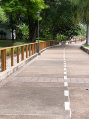 Fototapeta premium footpath in national park in city