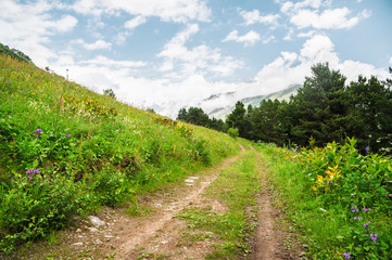 A dirt road running along the mountainside with grass and trees