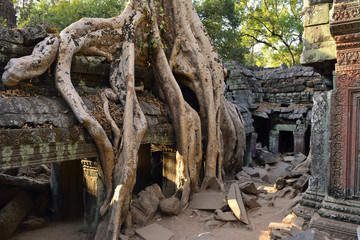Cambodia Angkor Thom Ta Phrom 