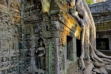 Cambodia Angkor Thom Ta Phrom 