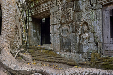 Fototapeta na wymiar Cambodia Angkor Thom Ta Phrom 