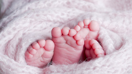 pink heels two babies in a pink coil