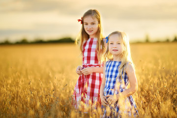 Two adorable little sisters walking happily in wheat field on warm and sunny summer evening.