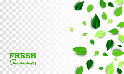 Fresh Summer creative banner with scattered green 3d leaves on white transparent background. Vector illustration. All isolated and layered