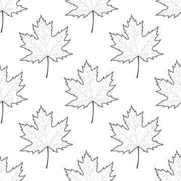 Autumn outline maple leaves seamless pattern. Vector illustration