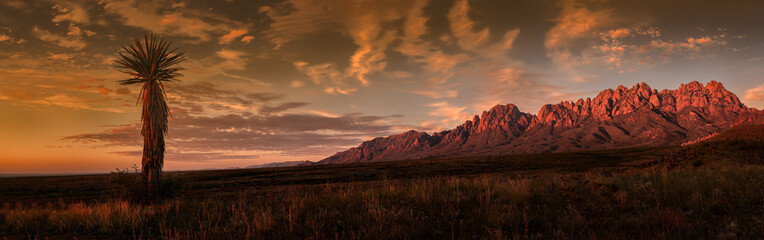 Organ Mountains Panorama, Sunset