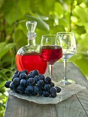 A glass of red wine and a brush of grapes on a wooden table, in a garden with a vine