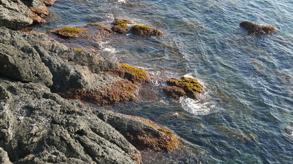 Scogliera del mare in Liguria
