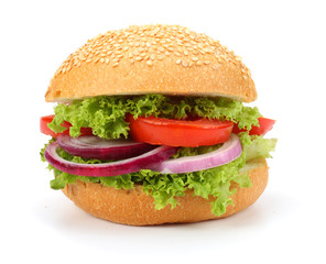 bbq hamburger with vegetables, spices isolated on white background