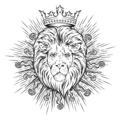 Hand drawn crowned lion head in sun rays isolated over white background vector illustration. Logo, blazon or print design