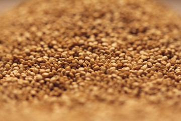 Heap of quinoa seeds