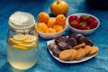 Picnic in the woods. Lemonade, cookies, apricots, strawberries, apples. Family Breakfast in nature. A refreshing drink in a jar.