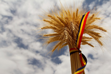 Ears of wheat and the romanian tricolor ribbon