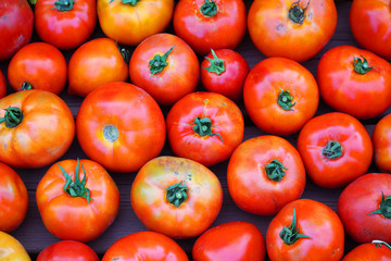 fresh farm picked tomatoes as food background