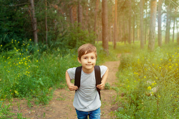 Little boy with a backpack walking on a forest trail. Child goes camping in the woods among the trees.