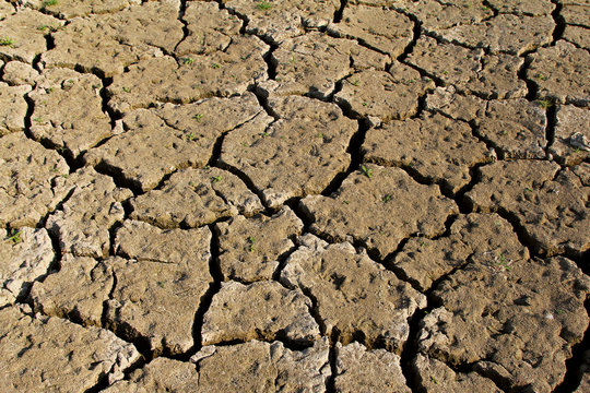 Dry cracked earth during extreme drought
