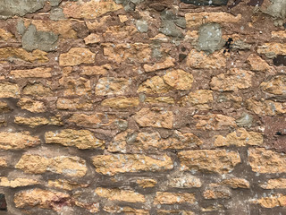 Fototapeta premium Old brick wall texture