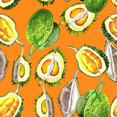 Exotic durian healthy food pattern in a watercolor style. Full name of the fruit: durian. Aquarelle wild fruit for background, texture, wrapper pattern or menu.
