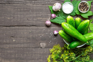 Ingredients for cooking pickled cucumbers