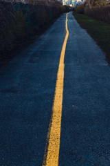 Obraz premium The road