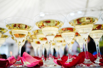 Many glasses of champagne at the bar. Cocktail.