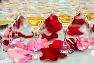 Many glasses of champagne at the bar. Cocktail.