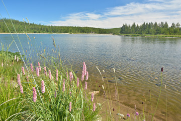 The Kharamatlou River in the Polar Urals.